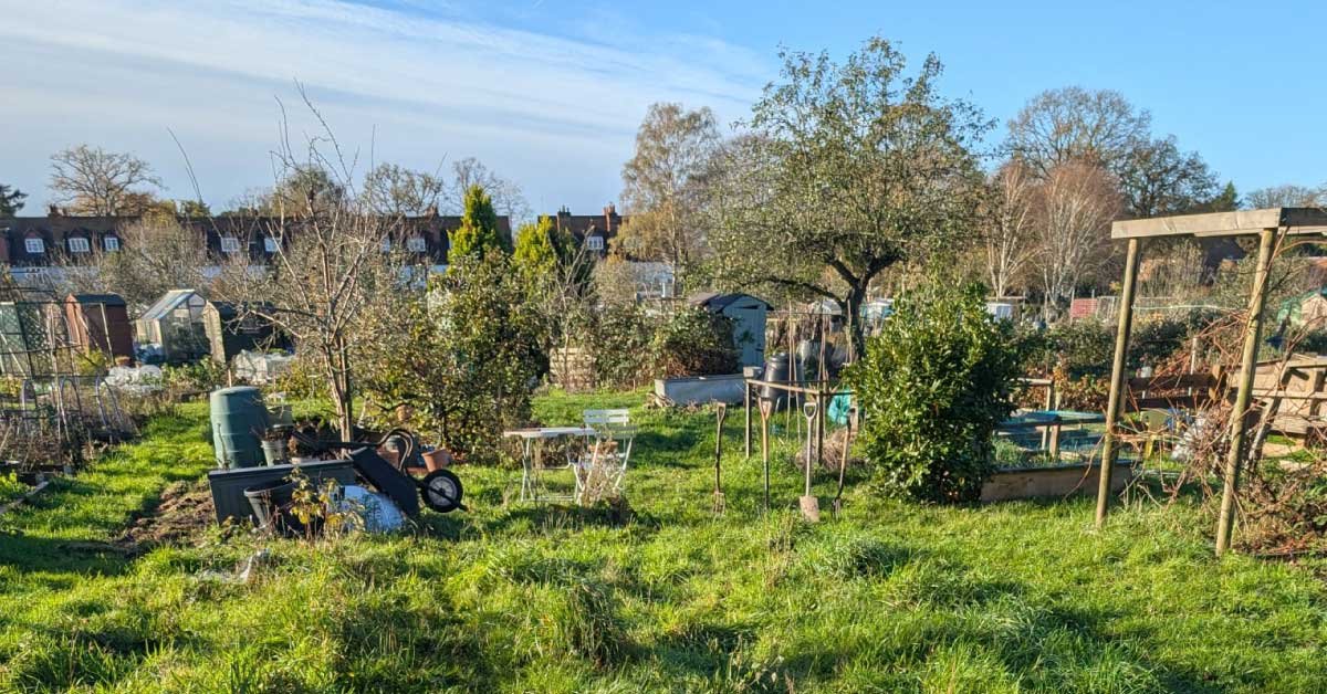 Weybridge Community Allotment