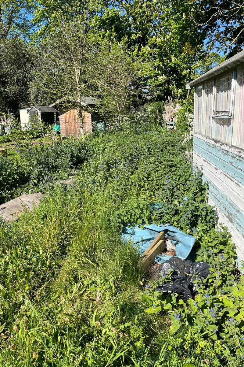 Making Ground at the Allotment