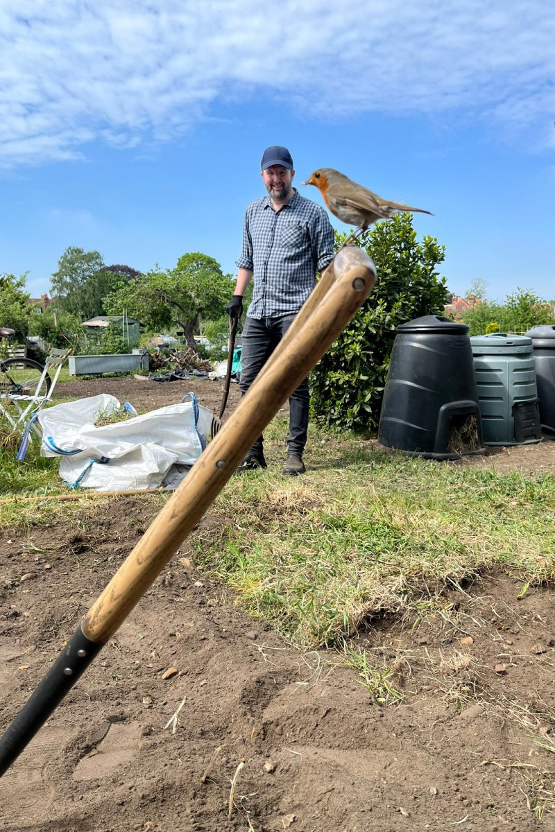 Making Ground at the Allotment Making Ground at the Allotment